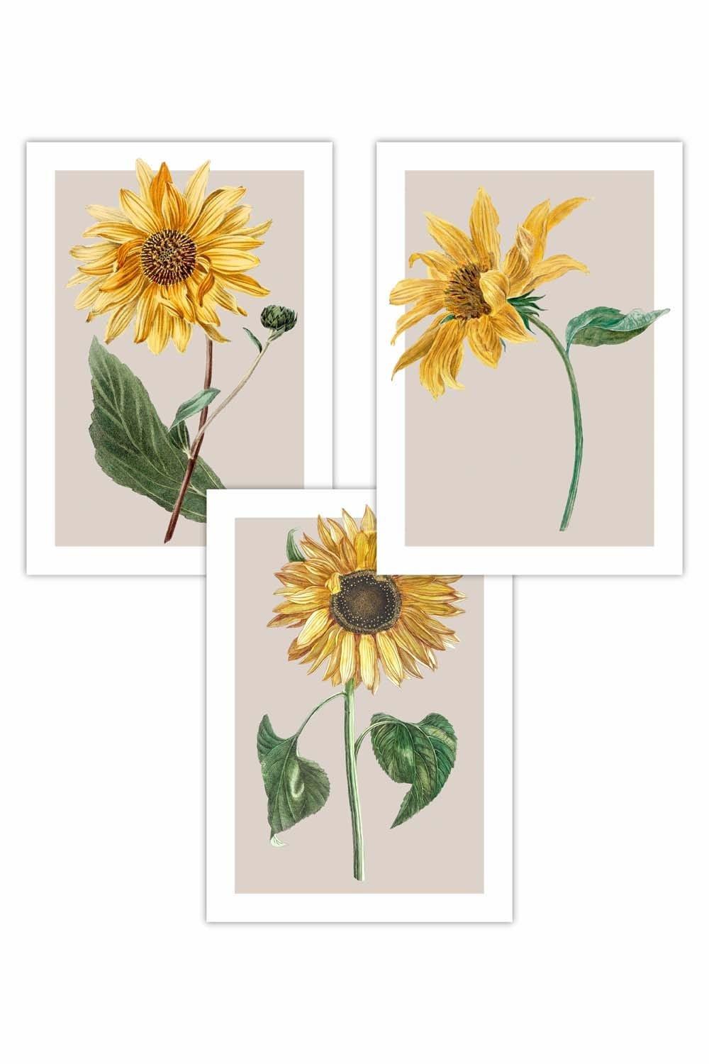 Set of 3 Vintage Sunflowers on Beige Art Posters